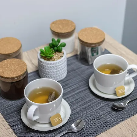 Lejlighed Confort Y Buena Ubicacion - Centro *